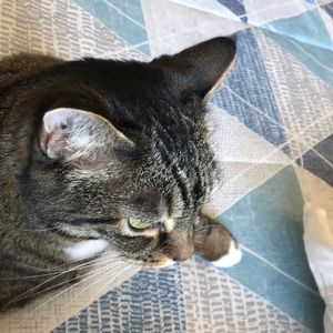 Meet your Posher, Bev